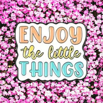 Enjoy the Little Things Pin